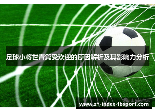 足球小将世青篇受欢迎的原因解析及其影响力分析