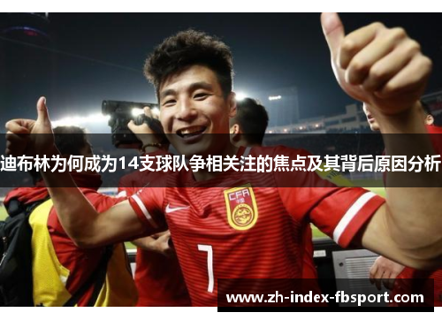 迪布林为何成为14支球队争相关注的焦点及其背后原因分析
